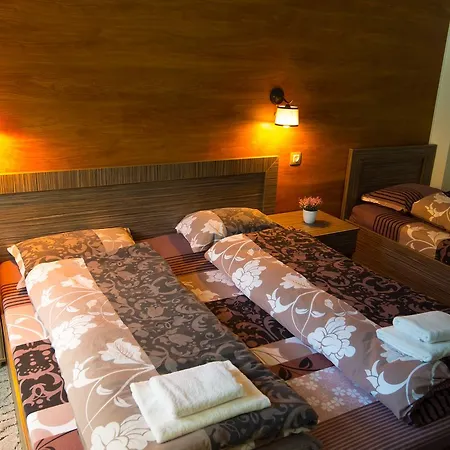 Family Hotel Bohema-2